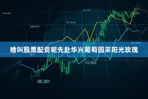 啥叫股票配资呢先赴华兴葡萄园采阳光玫瑰