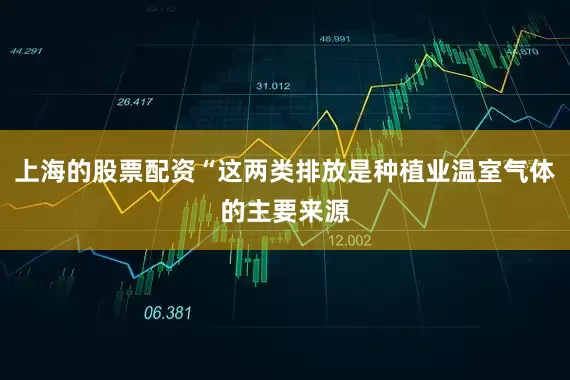 上海的股票配资“这两类排放是种植业温室气体的主要来源